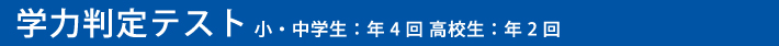 �w�͔���e�X�g